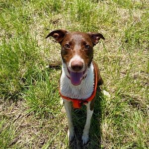 Meet your Posher, Cliodhna